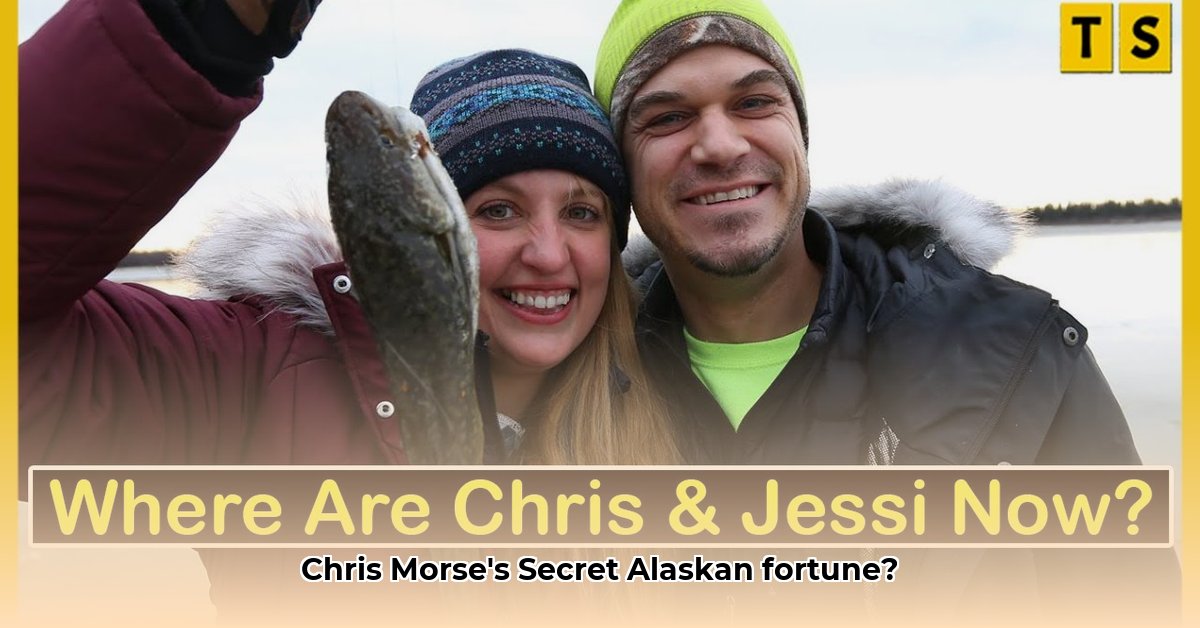 chris-morse-net-worth